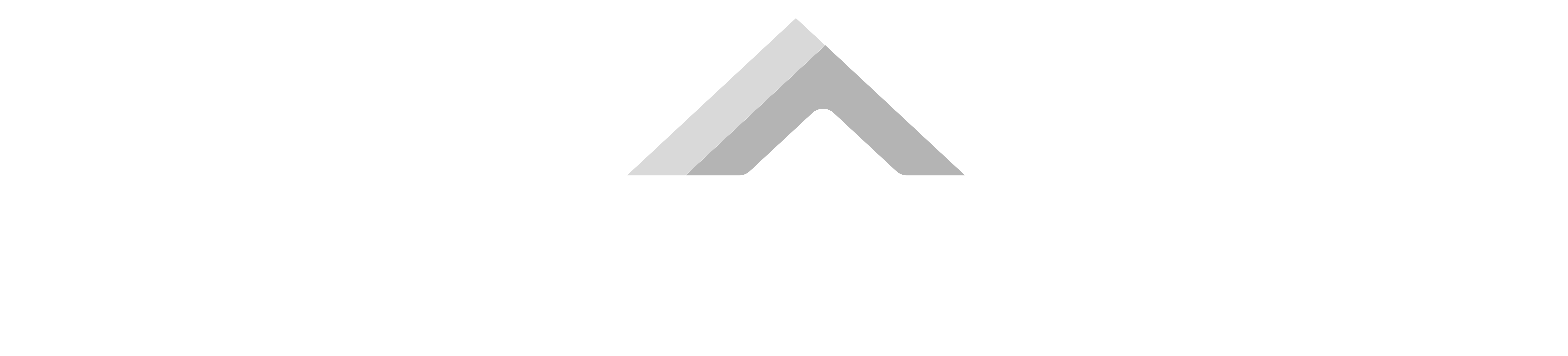 logo asv hosting